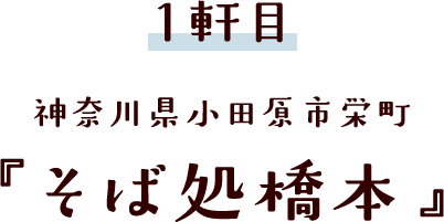 神奈川県小田原市栄町『そば処橋本』